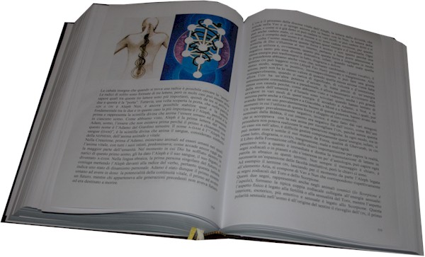 Anteprima #3